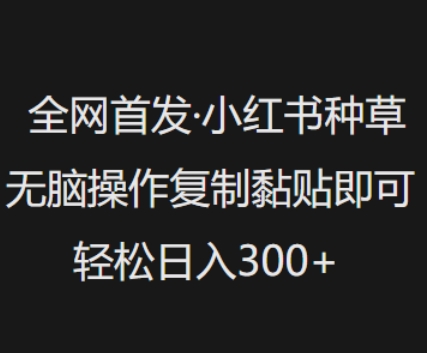 全网首发，小红书种草无脑操作，复制黏贴即可，轻松日入3张-创新Ovo