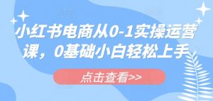 小红书电商从0-1实操运营课,0基础小白轻松上手-创新Ovo