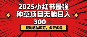 2025小红书最强种草项目，无脑日入300+，复制粘帖即可，多劳多得-创新Ovo