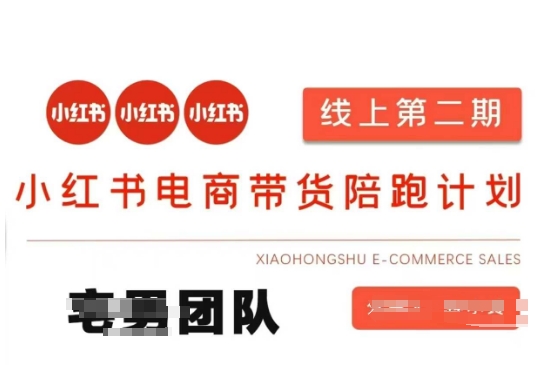 小红书电商带货课2期，月利润20个的小红书电商的有货源，无货源，虚拟产品，付费投流等整套玩法-创新Ovo