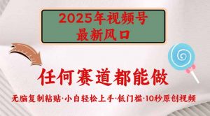 2025年视频号新风口，低门槛只需要无脑执行-创新Ovo