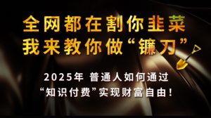 全网都在割你韭菜，我来教你做镰刀,2025普通人如何通过知识付费，实现财F自由【揭秘】-创新Ovo