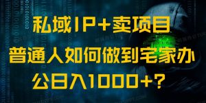 私域IP+卖项目,普通人如何做到宅家办公实现日入1000+-创新Ovo