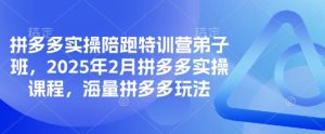 拼多多实操陪跑特训营弟子班,2025年2月拼多多实操课程,海量拼多多玩法-创新Ovo