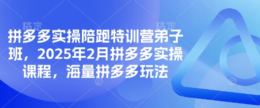 拼多多实操陪跑特训营弟子班，2025年2月拼多多实操课程，海量拼多多玩法-创新Ovo