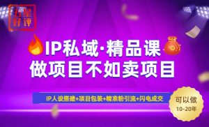 2025年“IP私域·密训精品课”,日赚3000+小白避坑年赚百万,暴力引流...-创新Ovo