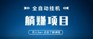 全自动挂机项目 月入3w+ 真正躺平项目 不吃电脑配置 当天见收益-创新Ovo