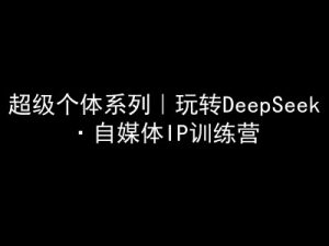 超级个体系列，玩转DeepSeek·自媒体IP训练营，deepseek教程-创新Ovo