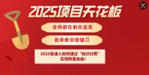 2025项目天花板普通人如何通过知识付费，实现财F自由【揭秘】-创新Ovo