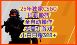 25年独家CSGO挂G搬砖，全自动操作，无需打游戏，小白日入3张+【揭秘】-创新Ovo