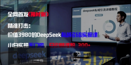 精准打击：价值3980的DeepSeek私域引流实操课，小白实操无门槛，日引精准粉300+-创新Ovo