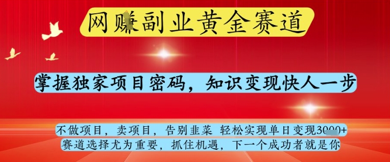 网创副业黄全赛道，掌握独家项目密码，知识变现快人一步，告别韭菜轻松实现单日变现1k+【揭秘】-创新Ovo