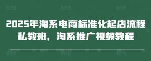 2025年淘系电商标准化起店流程私教班,淘系推广视频教程-创新Ovo