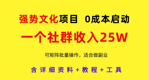 强势文化项目，一个社群收入25个W，0成本启动，可矩阵批量操作，原创详细实操教程-创新Ovo