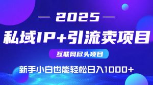 私域IP+卖项目,普通人小白也能轻松实现日入1000+-创新Ovo