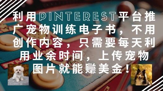 利用Pinterest平台推广宠物训练电子书，不用创作内容，只需要每天利用业余时间，上传宠物图片就能挣美金!-创新Ovo