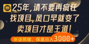 什么?25年你还在疯狂找项目做,醒醒吧,看完这些你全都懂了【揭秘】-创新Ovo