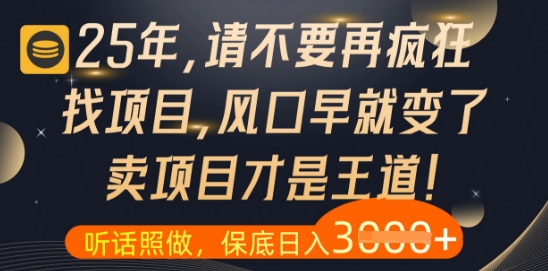什么？25年你还在疯狂找项目做，醒醒吧，看完这些你全都懂了【揭秘】-创新Ovo