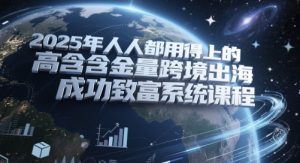 2025年人人都用得上的高含金量跨境出海成功致富系统课程-创新Ovo