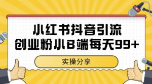 小红书抖音创业粉，小B端粉自热，日引99+的一个玩法【揭秘】-创新Ovo