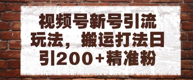 视频号新号引流玩法，搬运打法日引200+精准粉，可矩阵放大【揭秘】-创新Ovo