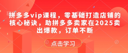 拼多多vip课程，零基础打造店铺的核心秘诀，助拼多多卖家在2025卖出爆款，订单不断-创新Ovo