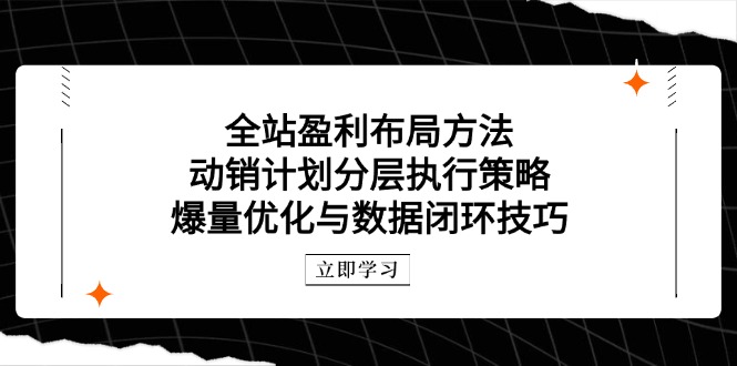 全站盈利布局方法：动销计划分层执行策略，爆量优化与数据闭环技巧-创新Ovo