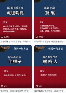 抖音最新涨粉玩法，图文方言暴力涨粉实操，126作品涨粉11W-创新Ovo