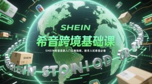 希音跨境基础课,SHEIN希音卖家入门实操指南,新手入坑希音必看-创新Ovo