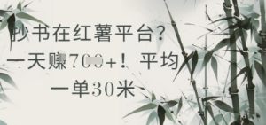 抄书在小红薯平台？平均一单30米，一天收益几张！-创新Ovo
