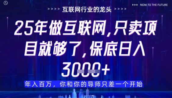 什么！25年你还在找项目做？风口早就变了，卖项目才是稳挣不赔【揭秘】-创新Ovo