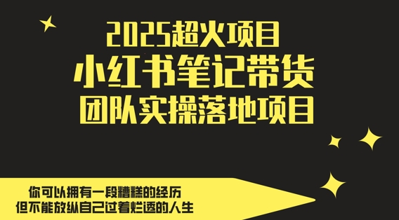 2025超火项目，副业最佳选择，小红书笔记带货团队实操落地项目，，轻松日入5张-创新Ovo