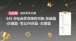 小红书电商带货课程实操:基础篇-选品篇-店铺篇-笔记内容篇-直播篇-创新Ovo