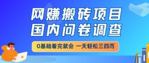 网创搬砖项目,国内问卷调查,小白轻松上手,一天三四张的也不难,干就完了【揭秘】-创新Ovo