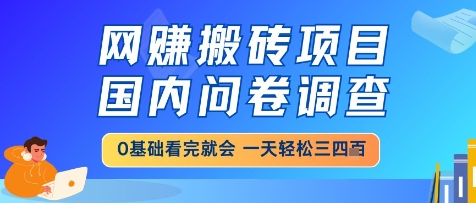 网创搬砖项目，国内问卷调查，小白轻松上手，一天三四张的也不难，干就完了【揭秘】-创新Ovo