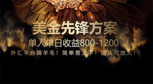 免费技术！小众赛道！一年布局抵三年努力，每日800+-创新Ovo