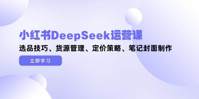 小红书DeepSeek运营课，选品技巧、货源管理、定价策略、笔记封面制作-创新Ovo