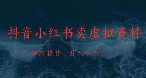 抖音小红书卖虚拟资料,市场需求一直存在,矩阵操作,月入1w+-创新Ovo