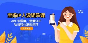宝妈IP人设矩阵课:ABC号搭建,批量SOP,私域转化高效闭环-创新Ovo