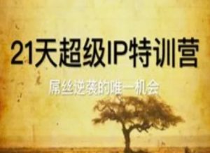 21天超级IP特训营,屌丝逆袭的唯一机会-创新Ovo