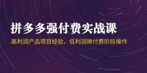 拼多多强付费实战课-44期,高利润产品项目经验,低利润微付费阶段操作-创新Ovo