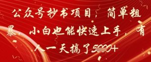 公众号抄书项目,简单粗暴,小白也能快速上手,有人一天搞了1k+-创新Ovo