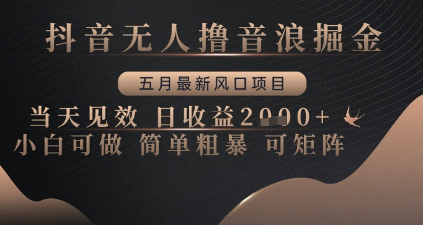 抖音无人撸音浪掘金，五月最新风口项目，当天见效，日收益多张，小白可做简单粗暴可矩阵【揭秘】-创新Ovo