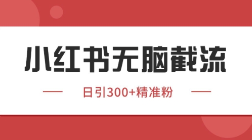 小红书只要你有同行就能获客，独家野路子获客玩法，暴力截流【揭秘】-创新Ovo