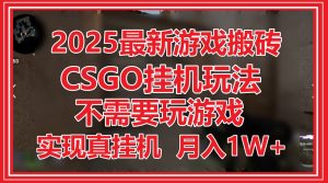 2025最新游戏搬砖，CSGO挂机，不需要玩游戏，实现真挂机，月入1W+-创新Ovo