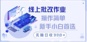 线上批改作业，操作简单新手小白首选，无脑日收300+【揭秘】-创新Ovo