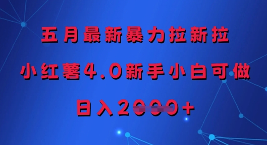 五月最新暴力拉新拉，小红薯4.0新手小白可做，日入多张-创新Ovo