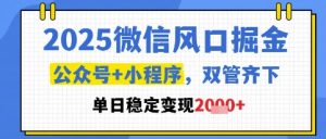 2025微信风口掘金，公众号+小程序双管齐下，单日稳定变现1k+【揭秘】-创新Ovo