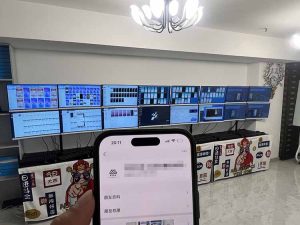 2025年实操六大项目实操演练，挂机类型，AI直播类型，轻资产创业类型，...-创新Ovo