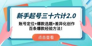 新手起号三十六计2.0:账号定位+爆款选题+差异化创作,百条爆款经验方法!-创新Ovo